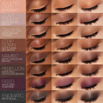 Total Seduction Eyeshadow Stick